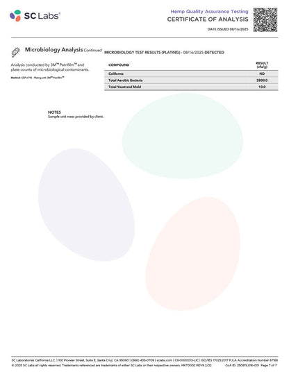 Xite D9 Milk Chocolate Minis 5ct