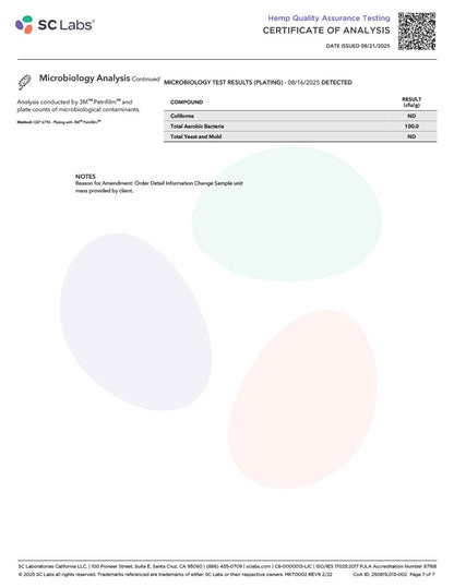 Xite D9 Dark Chocolate Minis 5ct